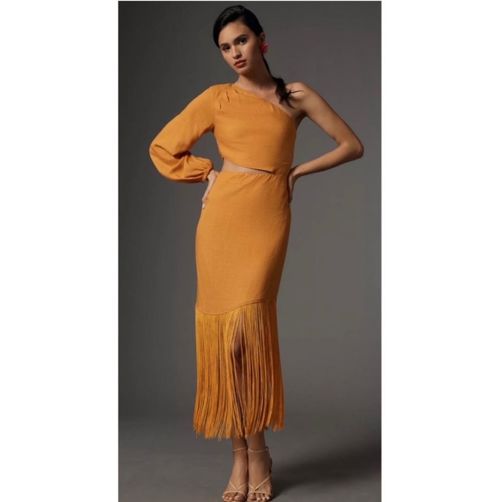 Le Superbe Fringed One-Shoulder Dress
